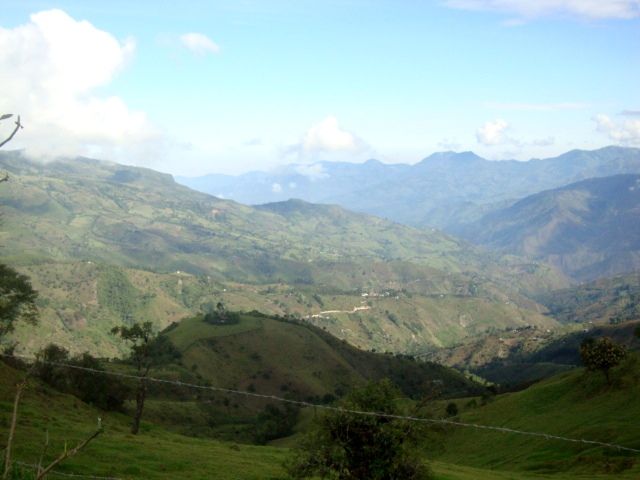 DSC02355