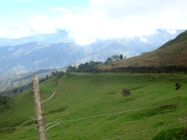 DSC02356
