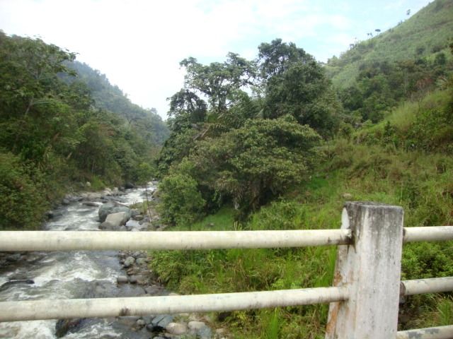 DSC02364