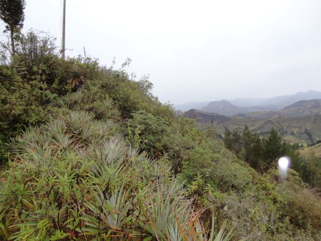 DSC02382
