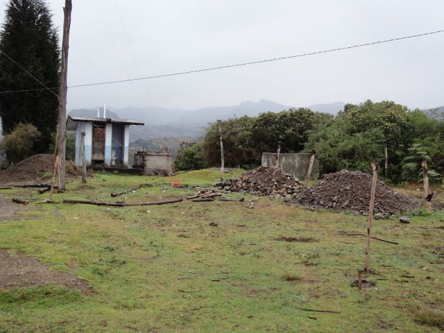 DSC02384