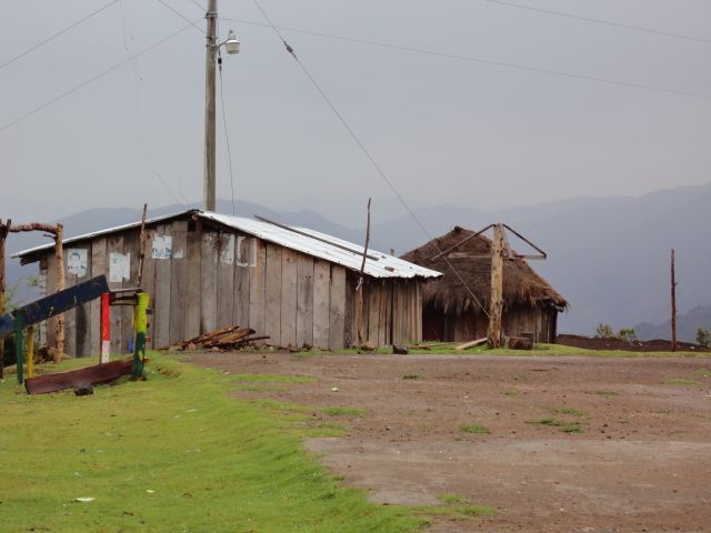 DSC02387