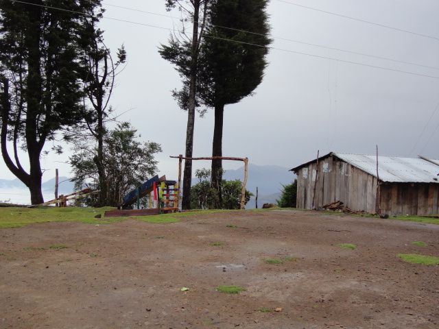 DSC02389