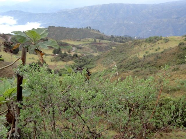 DSC02401