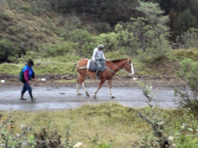 DSC02402