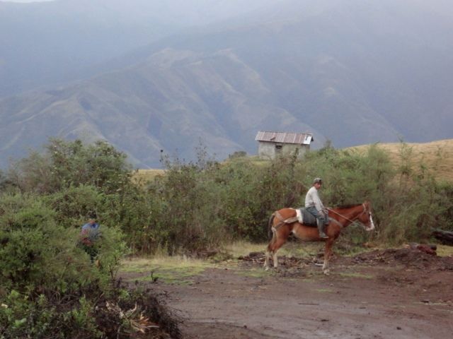 DSC02403