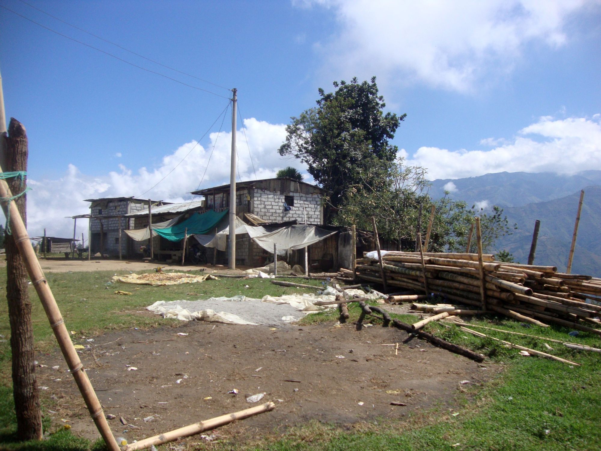 DSC02408