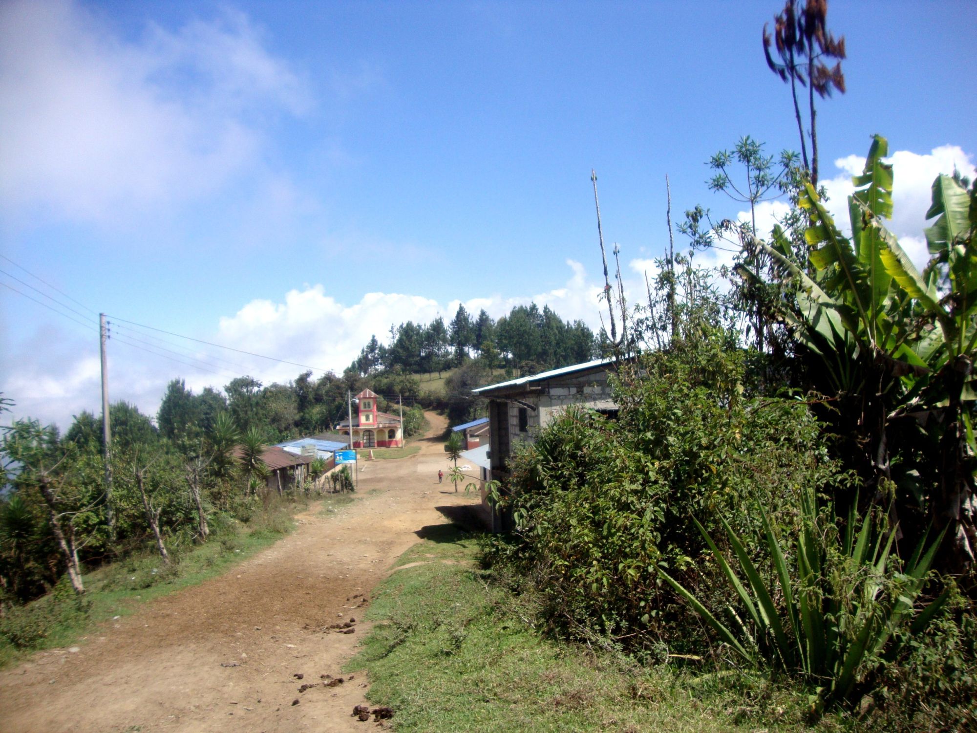 DSC02409