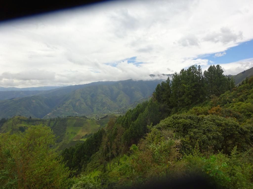 DSC02421_1024x768