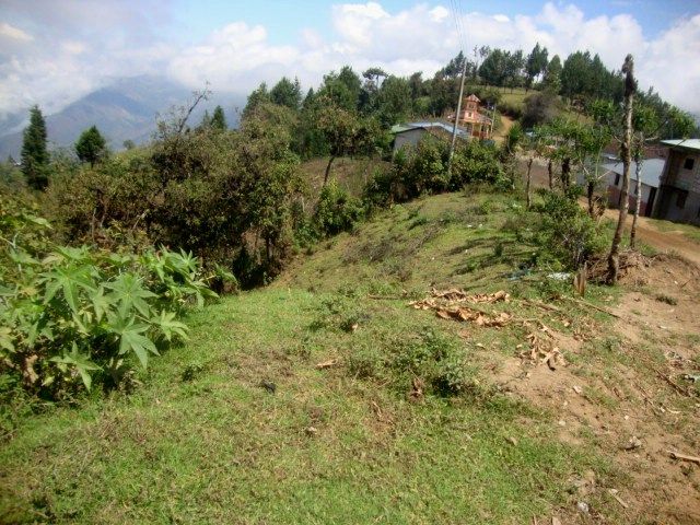 DSC02424