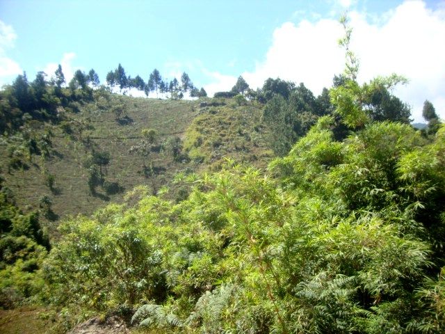 DSC02434