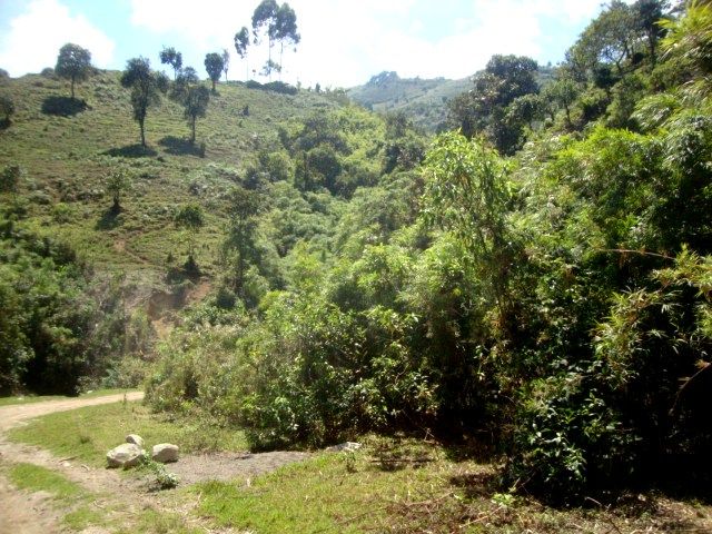 DSC02435