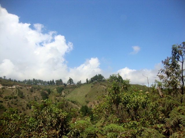 DSC02436