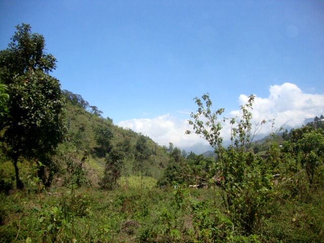 DSC02438