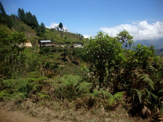 DSC02439