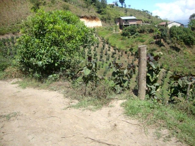 DSC02440