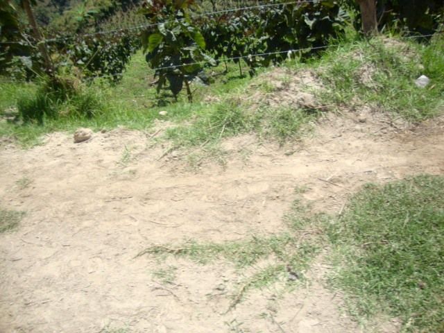 DSC02441
