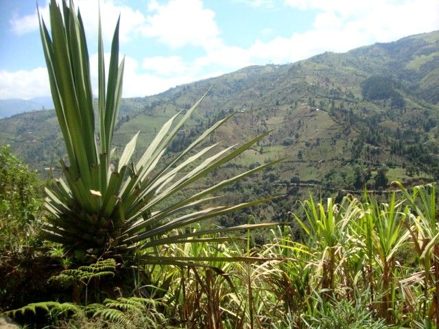 DSC02443 – copia