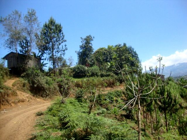 DSC02446