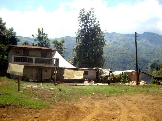 DSC02449