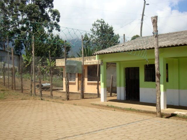 DSC02451
