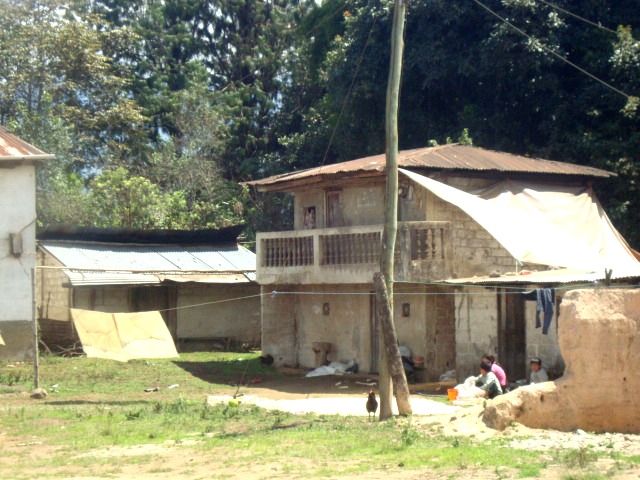 DSC02453