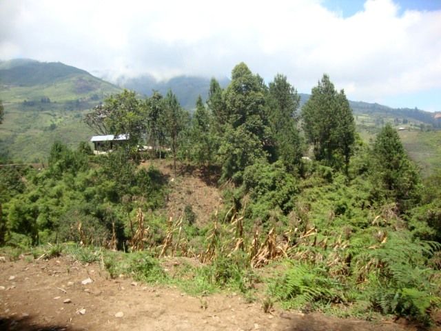 DSC02458