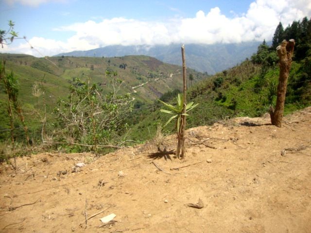 DSC02459
