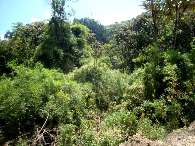 DSC02462