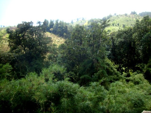 DSC02463