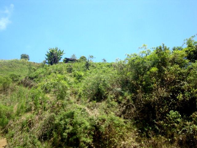DSC02464