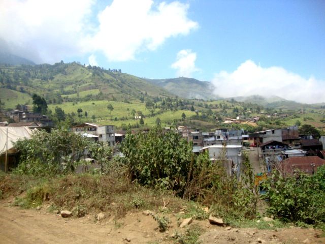 DSC02465