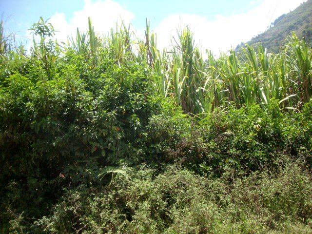 DSC02472