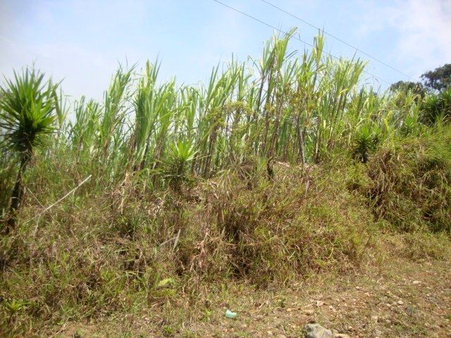 DSC02475