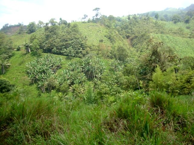 DSC02482