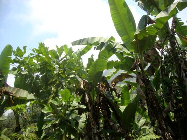 DSC02483