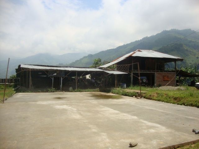 DSC02485
