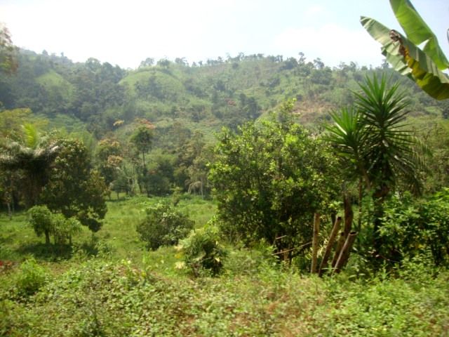 DSC02486