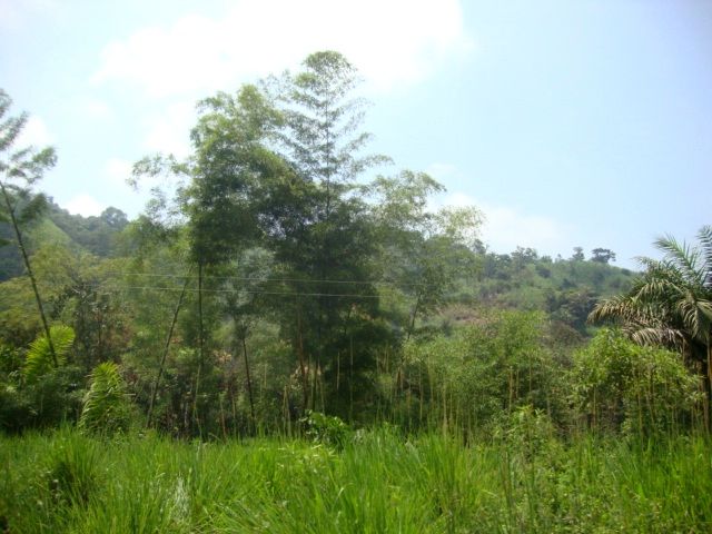 DSC02487