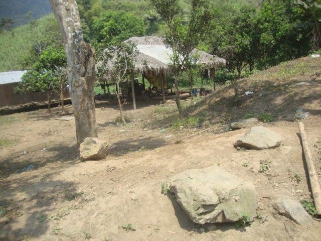 DSC02490