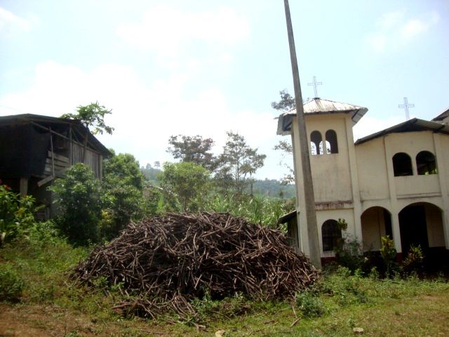 DSC02494