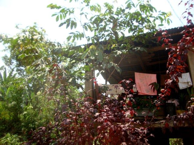 DSC02495