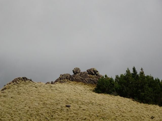 DSC02547 (640×480)