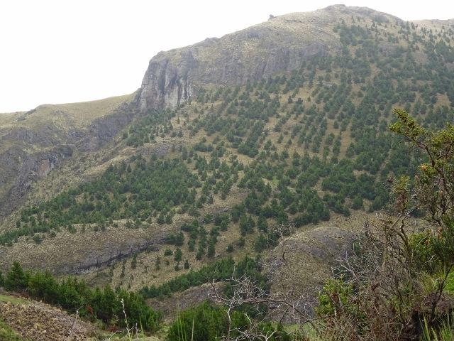 DSC02551 (640×480)
