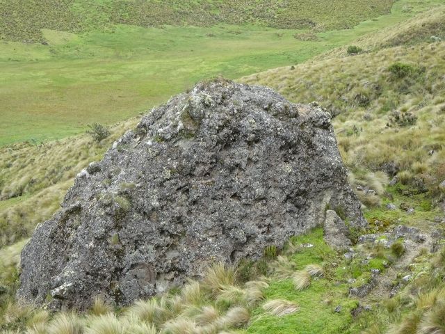 DSC02576 (640×480)
