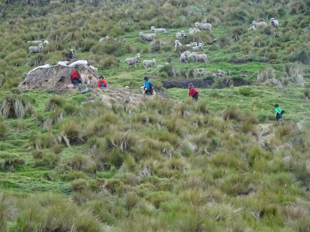 DSC02595 (640×480)