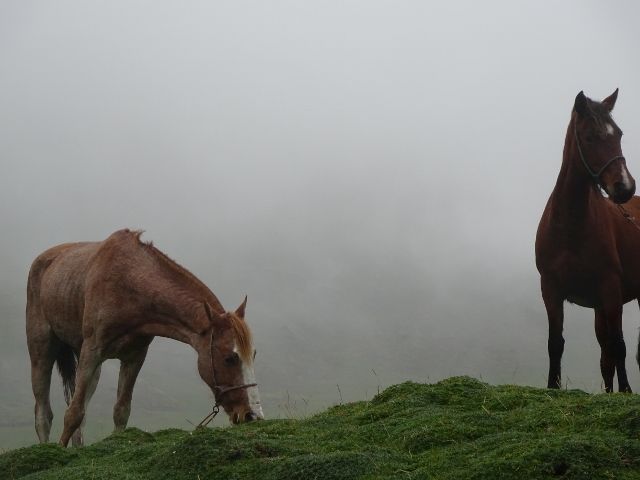 DSC02606 (640×480)