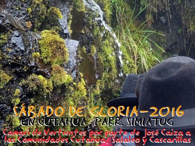 DSC02702 (640×480) – copia – copia