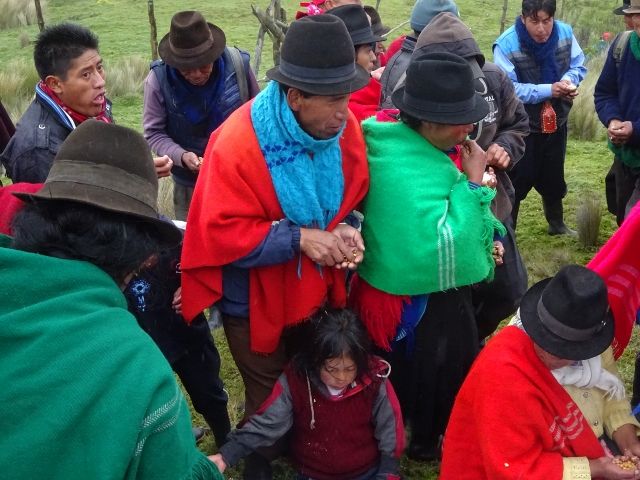 DSC02800 (640×480)