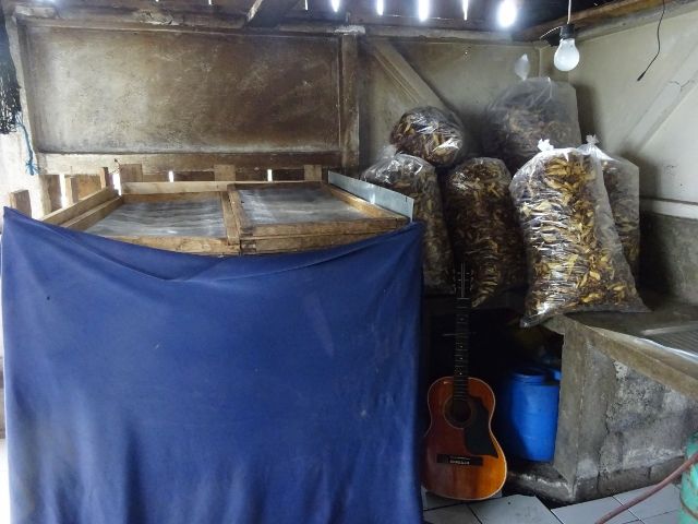 DSC02905 (640×480)